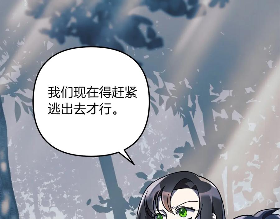 第219页