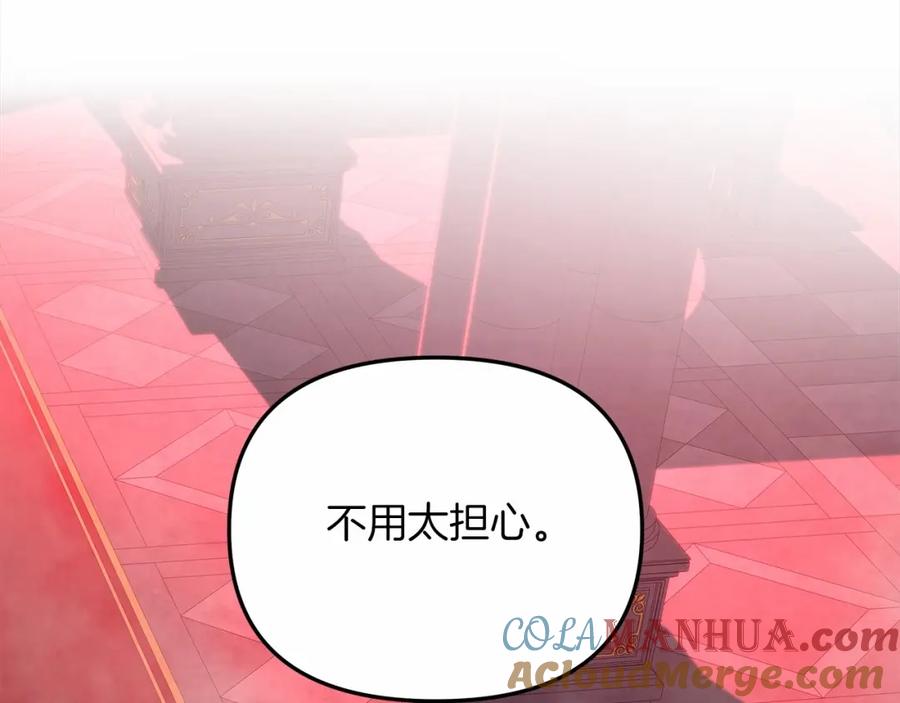 第217页