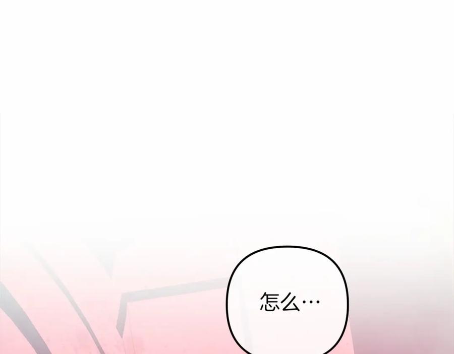第247页