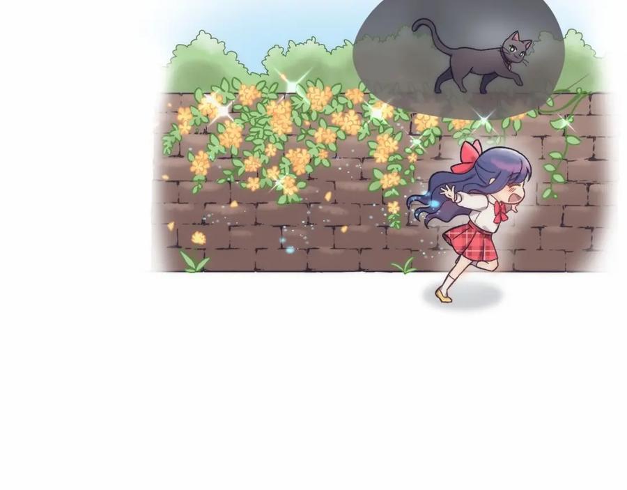 第255页