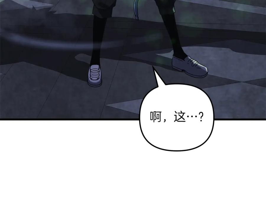 第215页