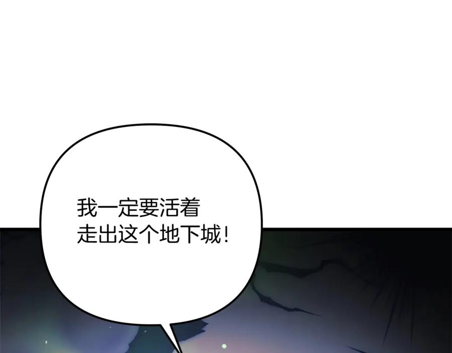 第259页