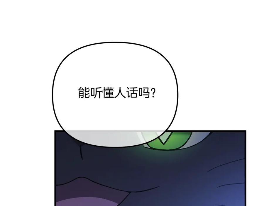 第215页