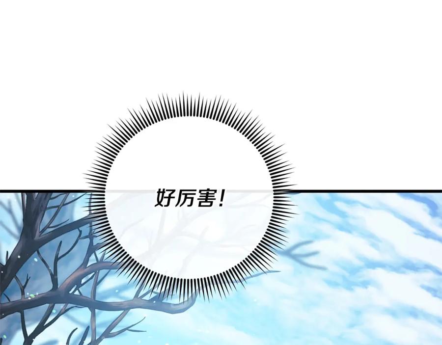 第243页