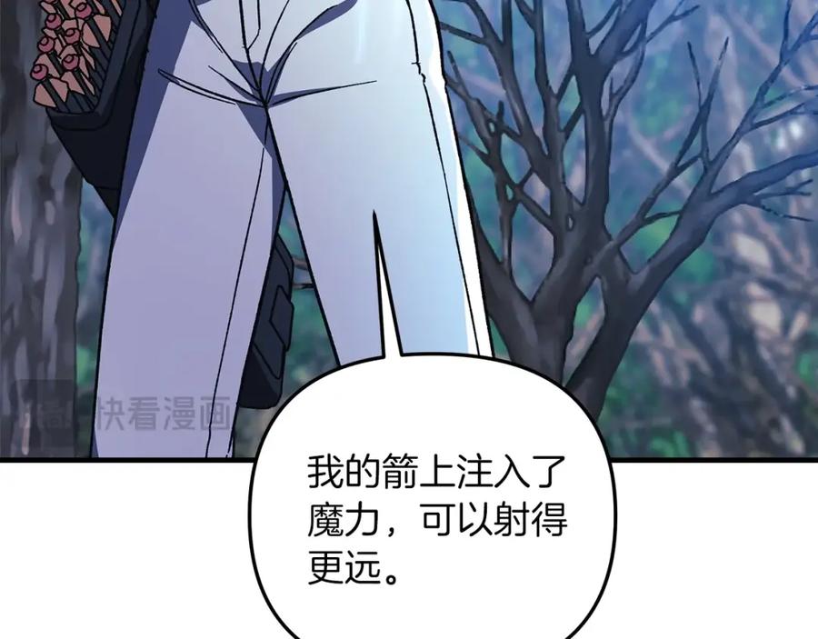 第255页