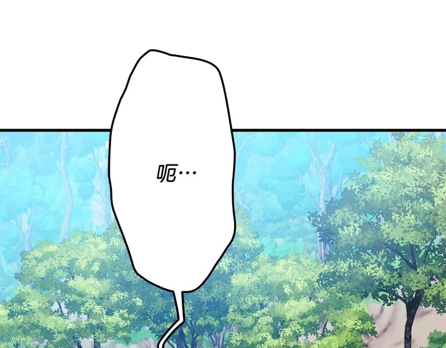 第223页