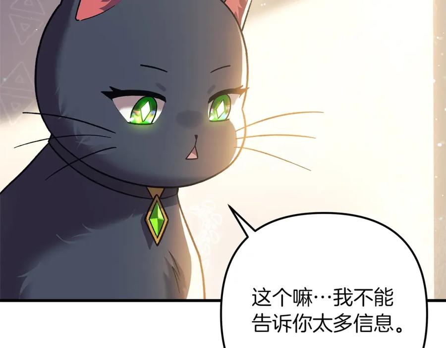 第223页