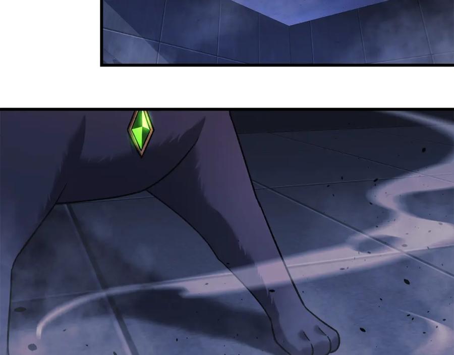 第185页