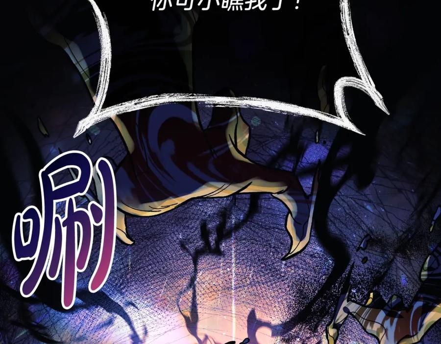 第206页