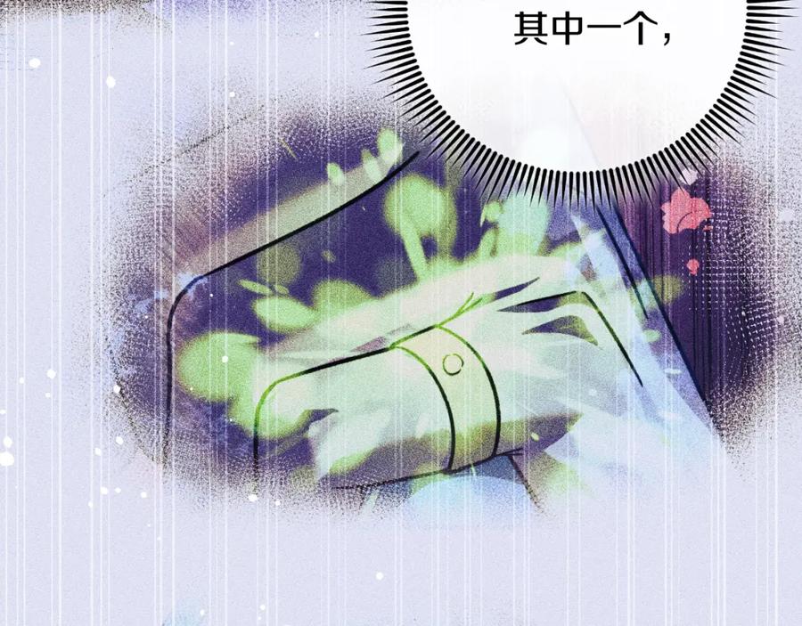 第204页