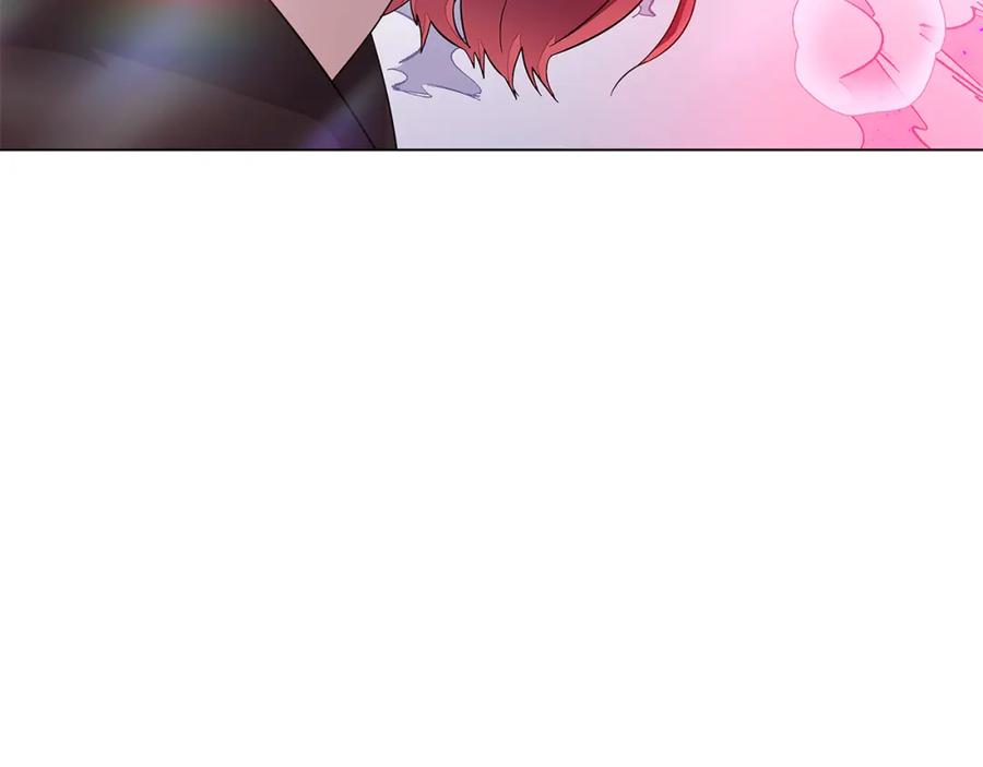 第242页