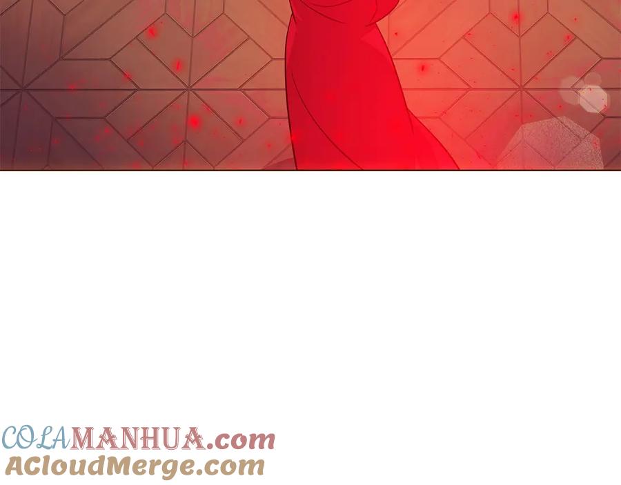 第205页