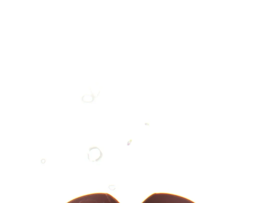 第211页