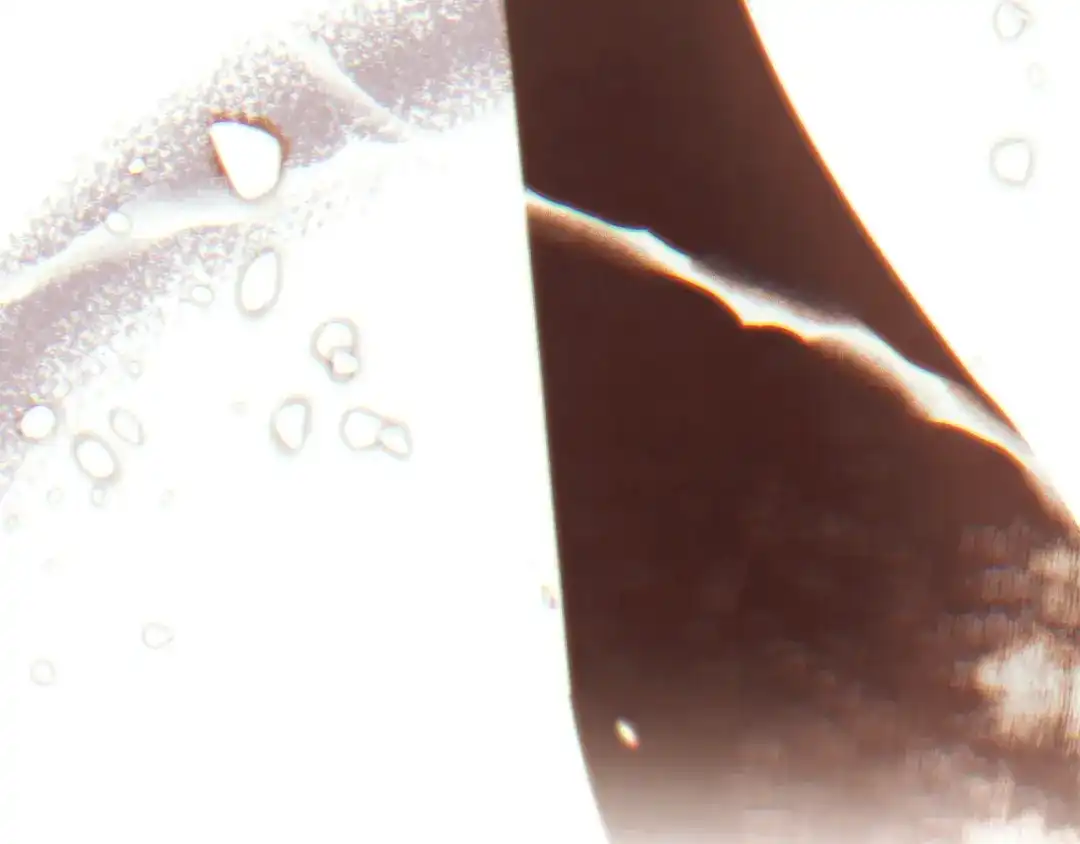 第215页