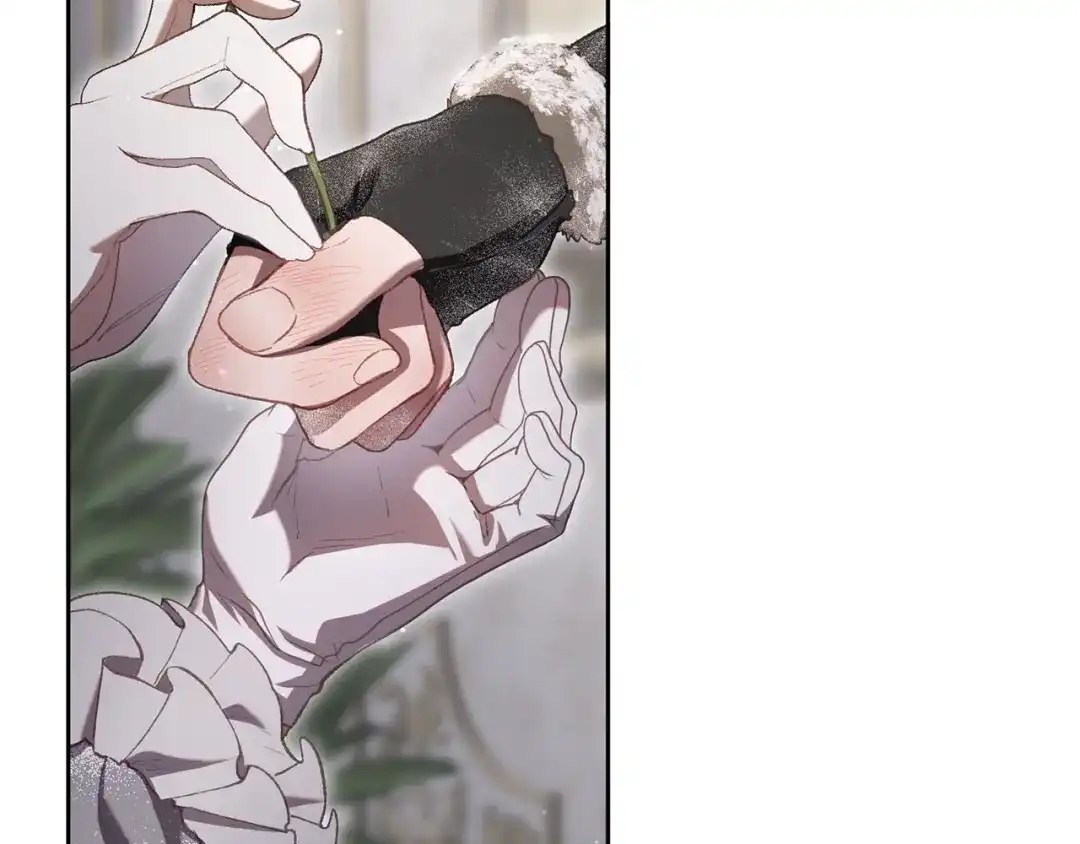 第247页