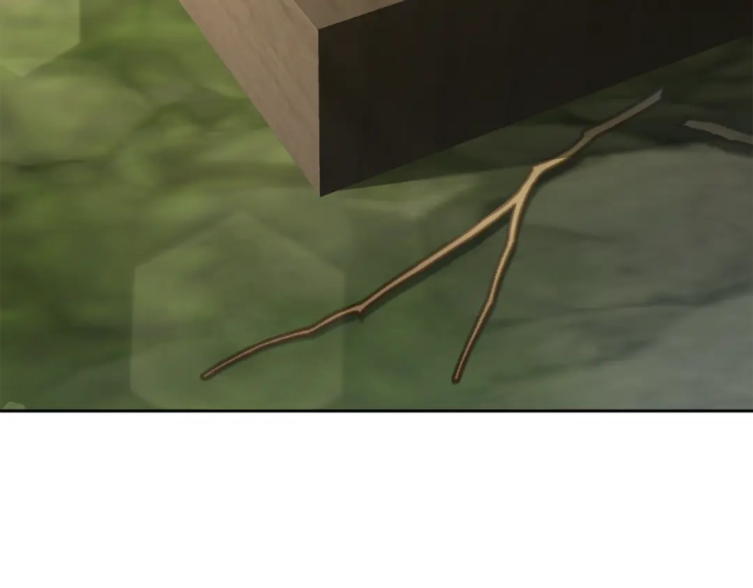第225页