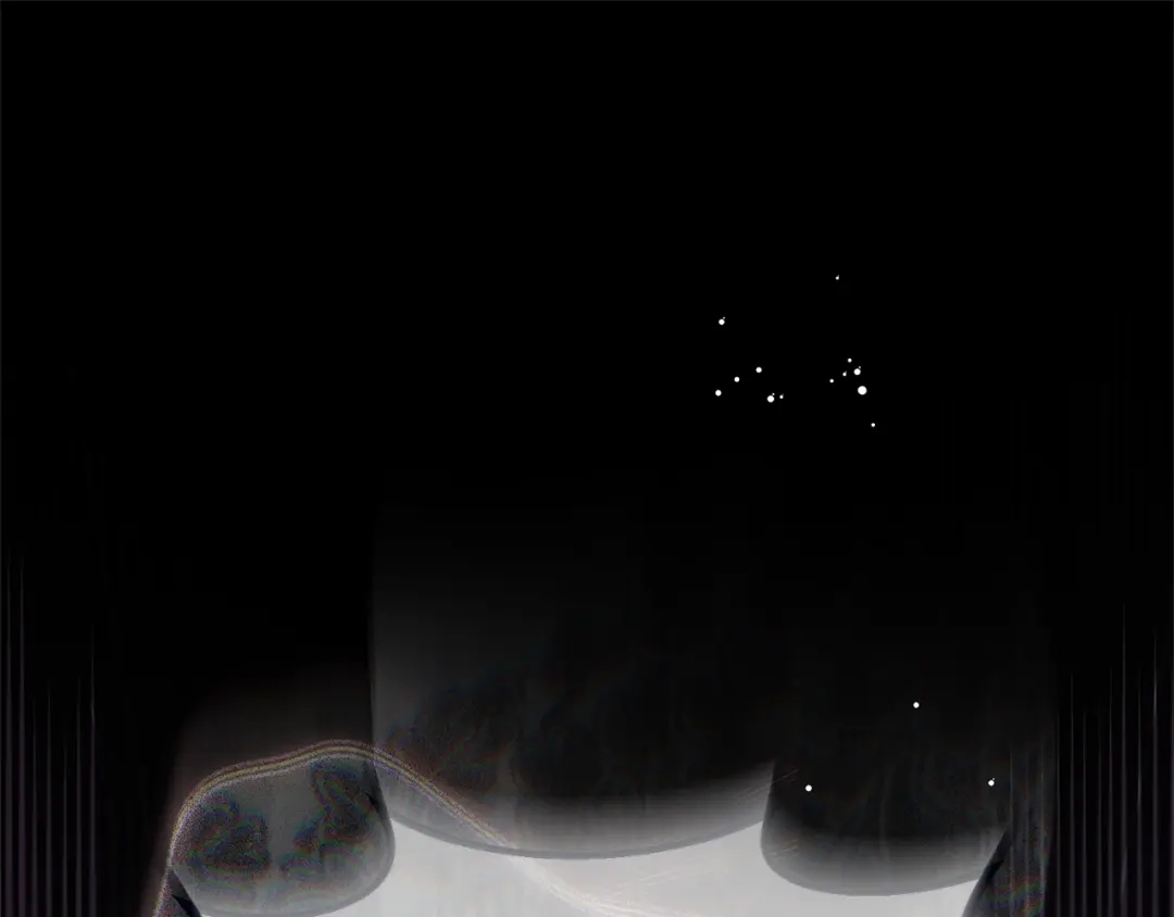 第205页