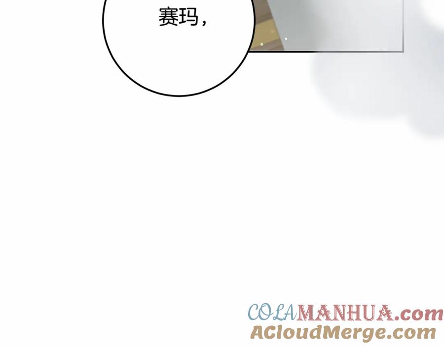 第205页