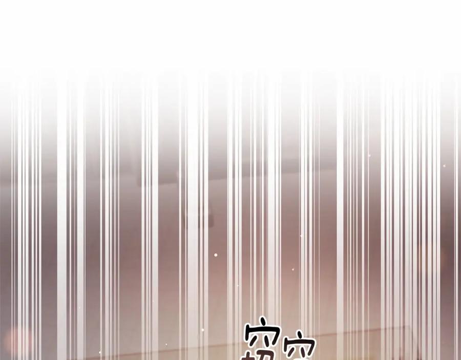 第223页