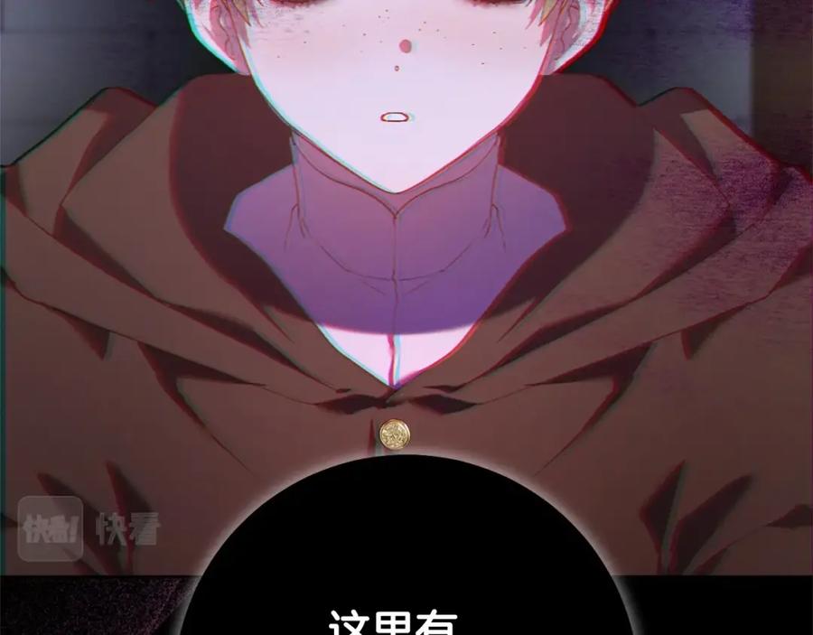 第204页