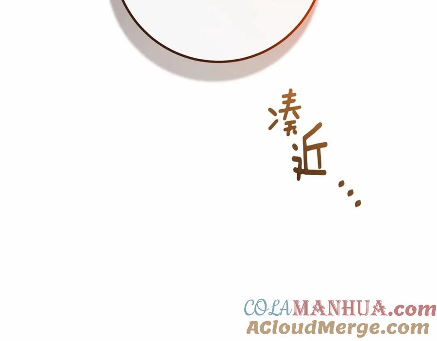 第205页