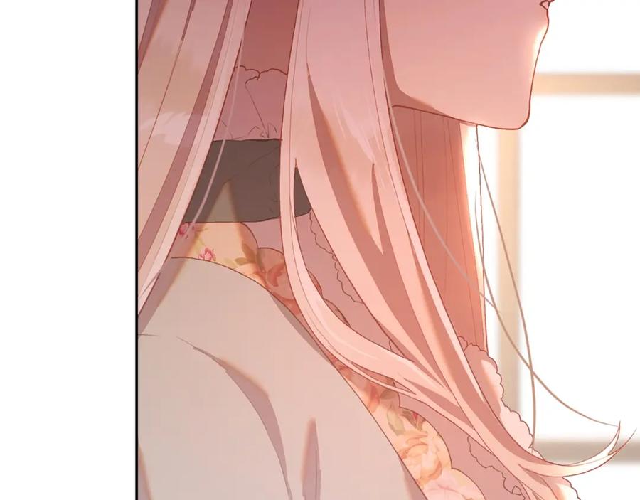 第251页