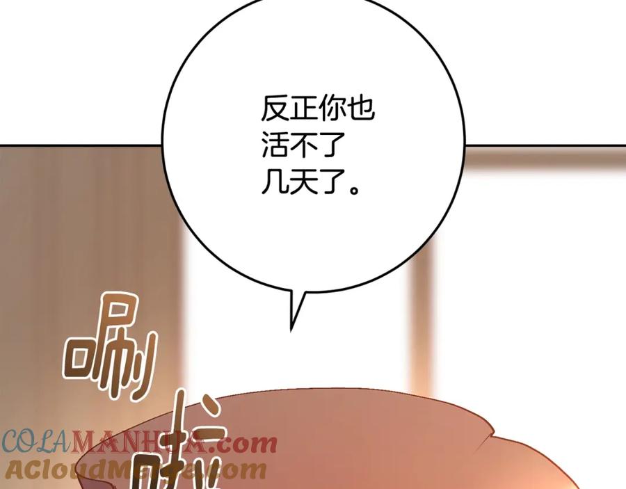 第253页