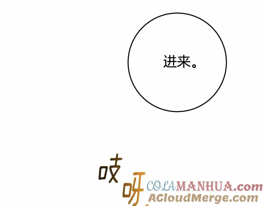 第241页