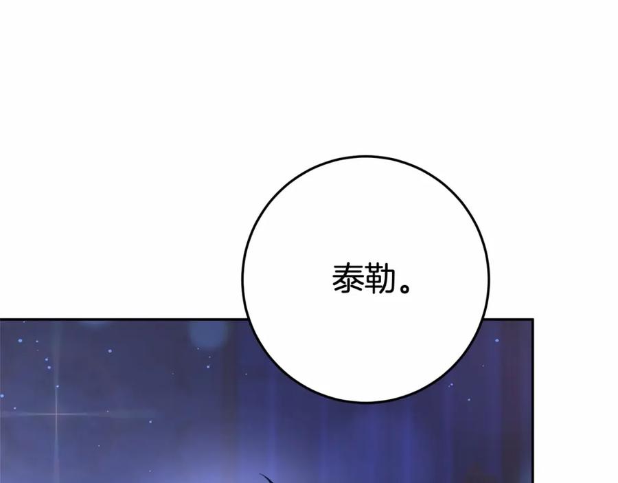 第238页