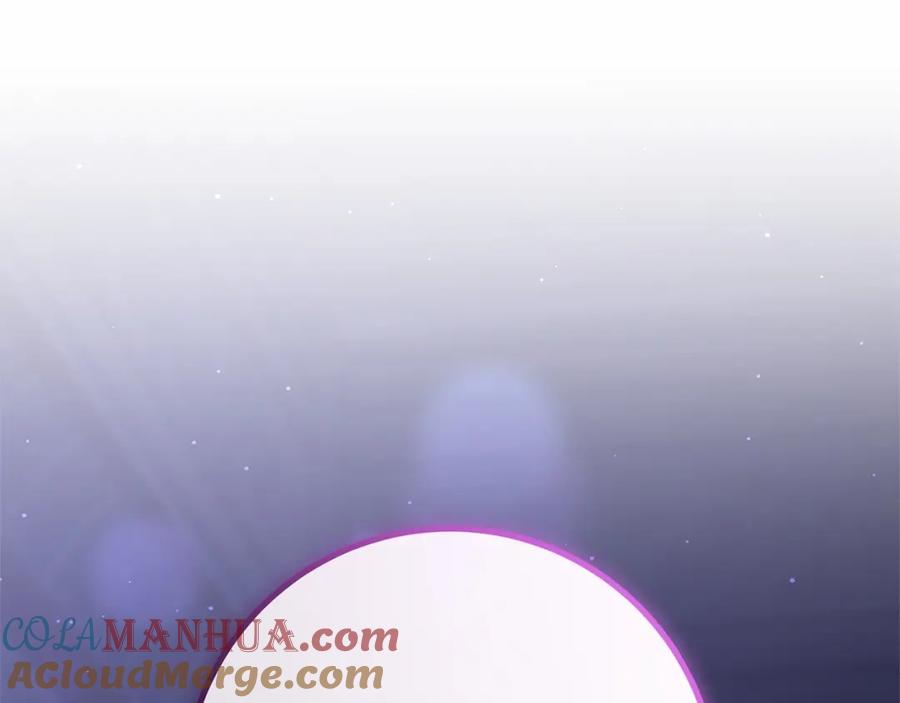 第241页