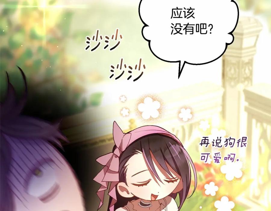 第223页