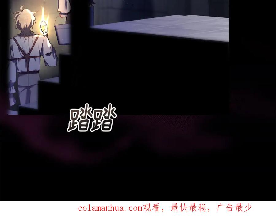 第223页