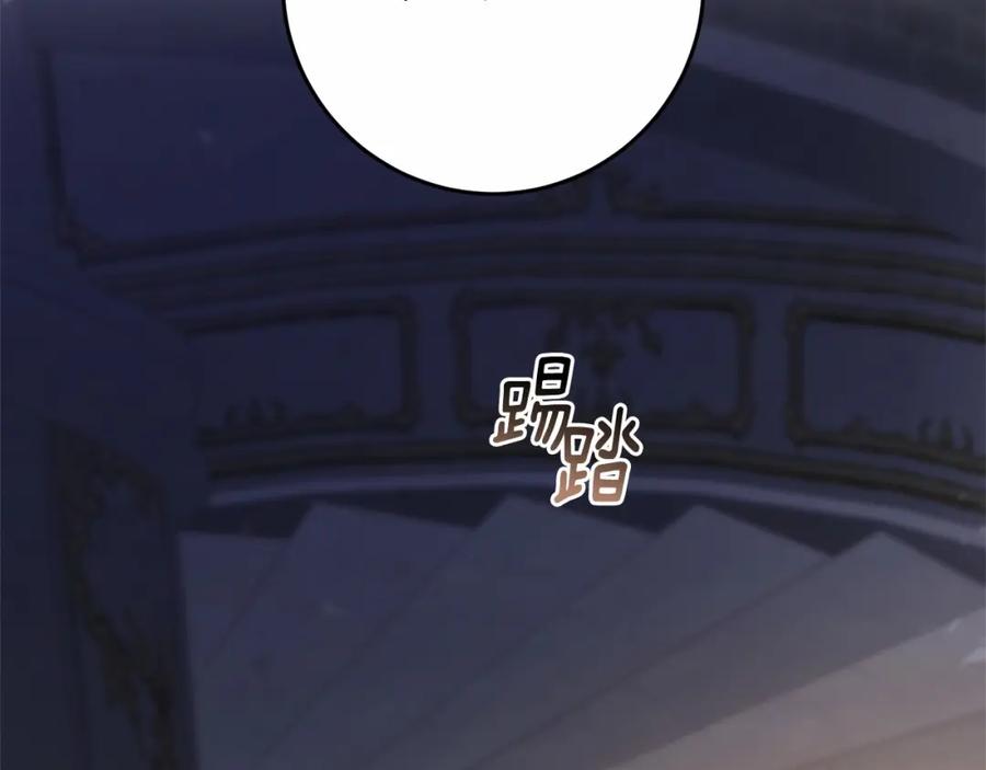 第224页