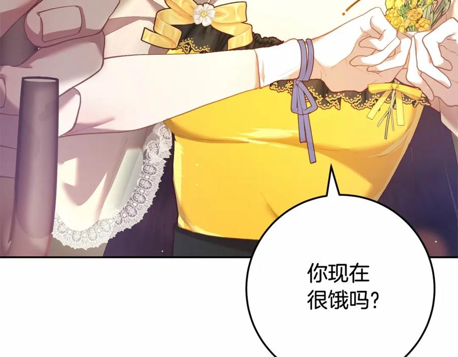 第242页