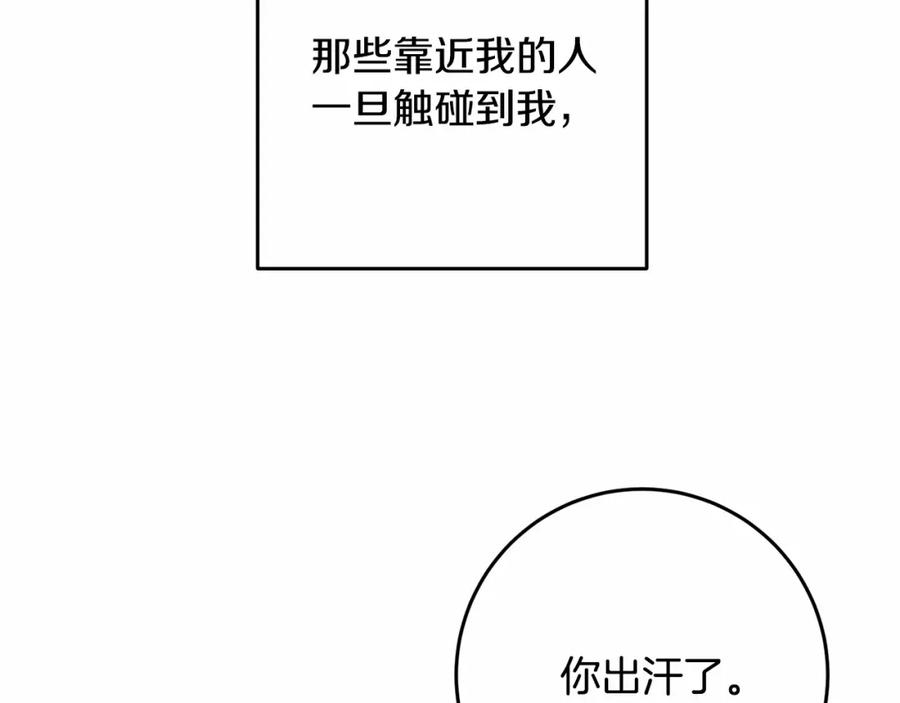 第255页