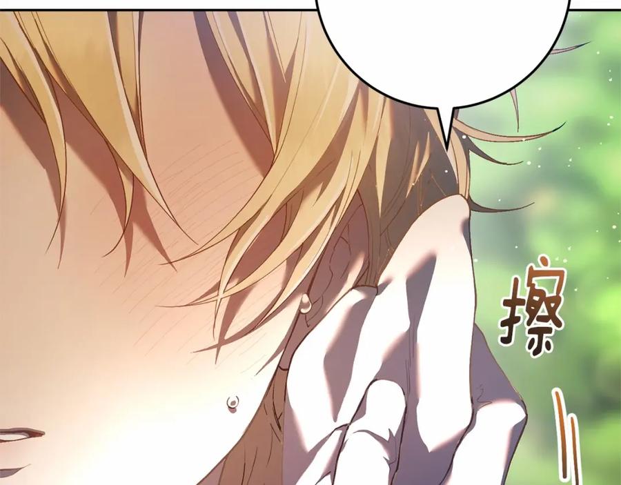 第256页