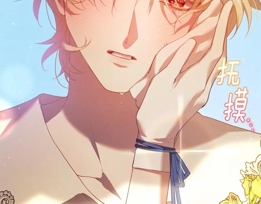 第266页
