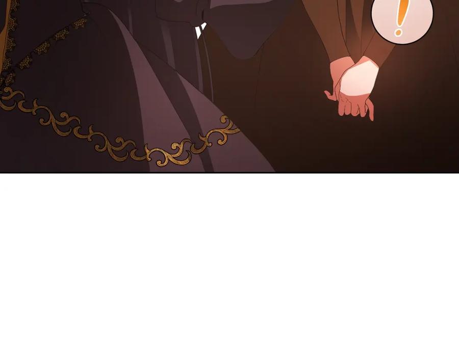 第231页
