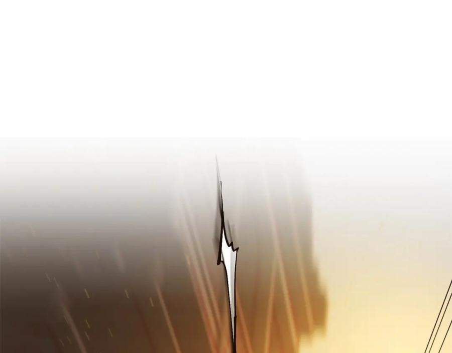 第238页