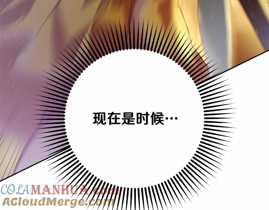 第241页