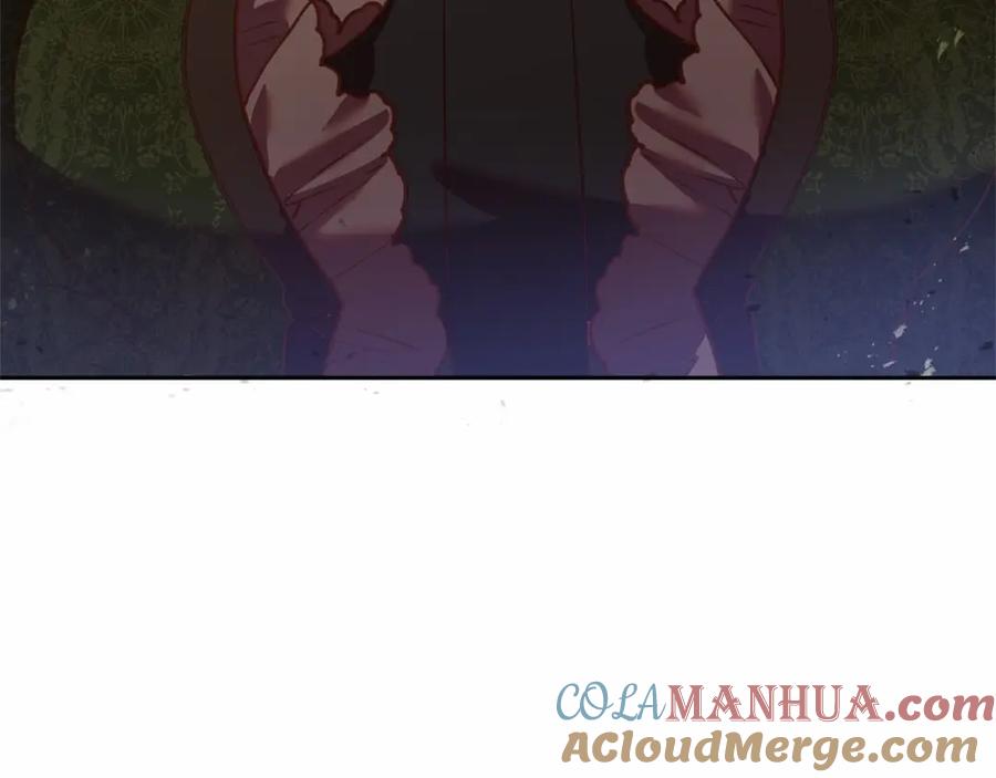 第217页