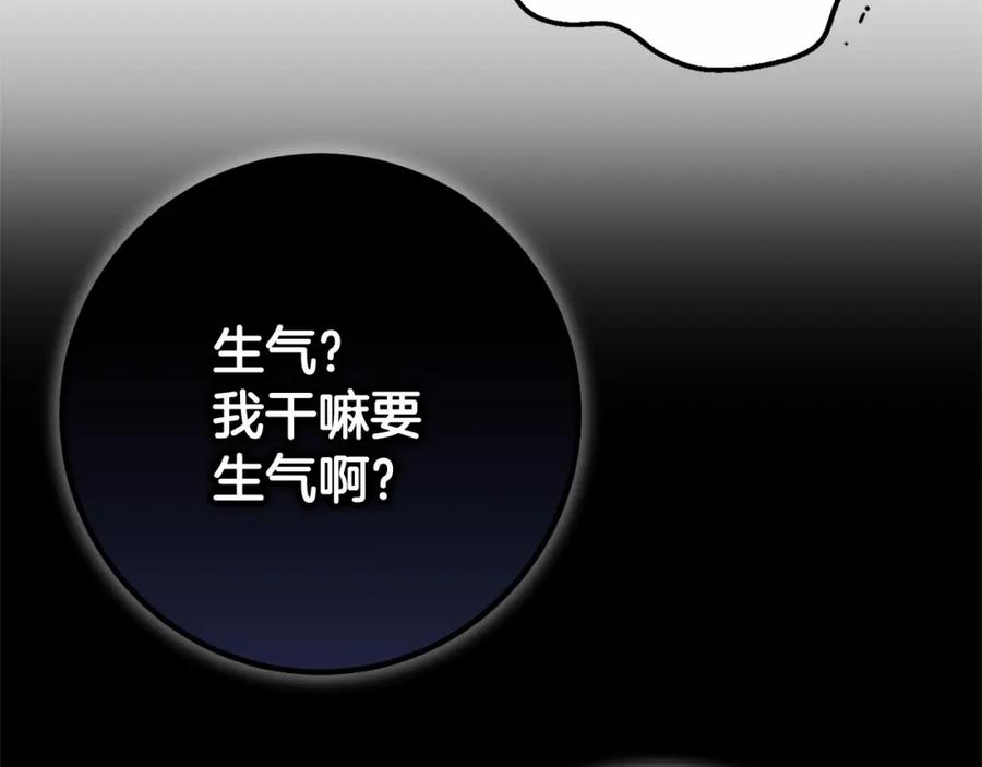 第223页