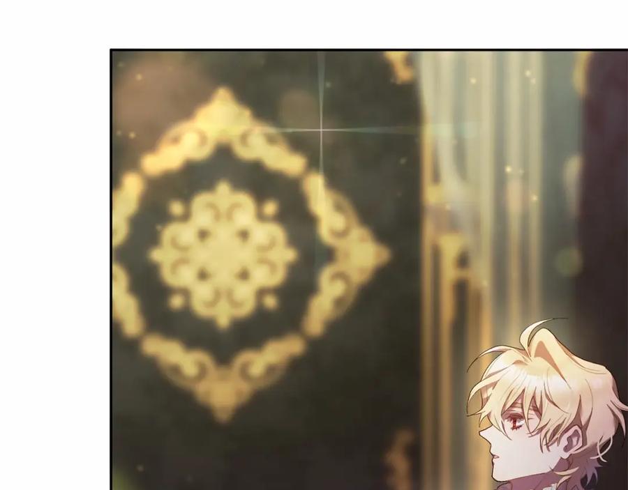 第244页