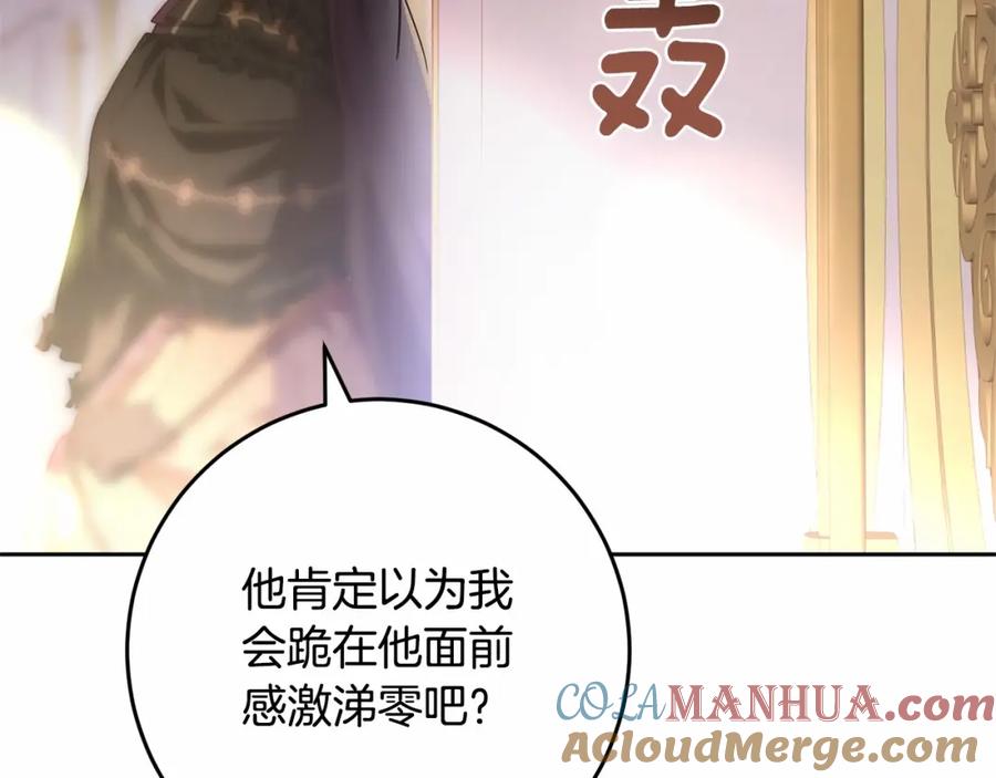 第213页