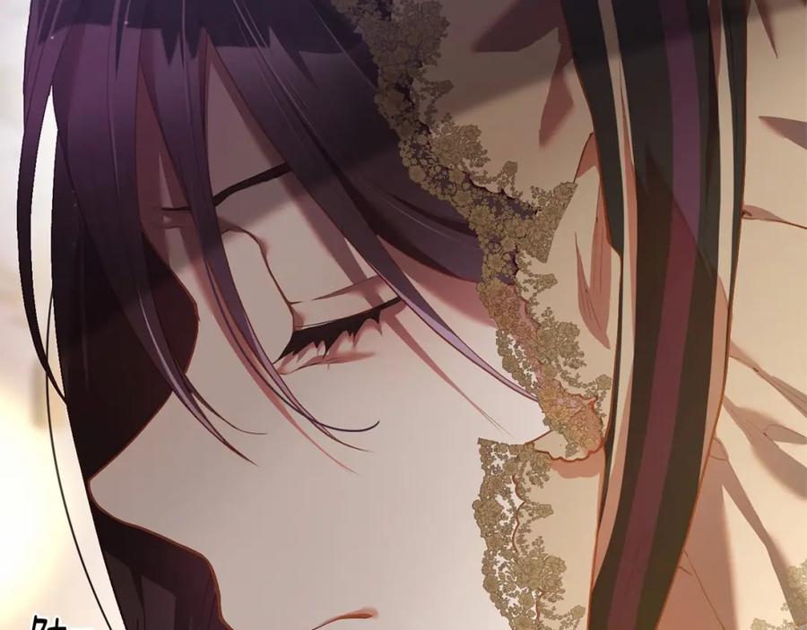 第223页