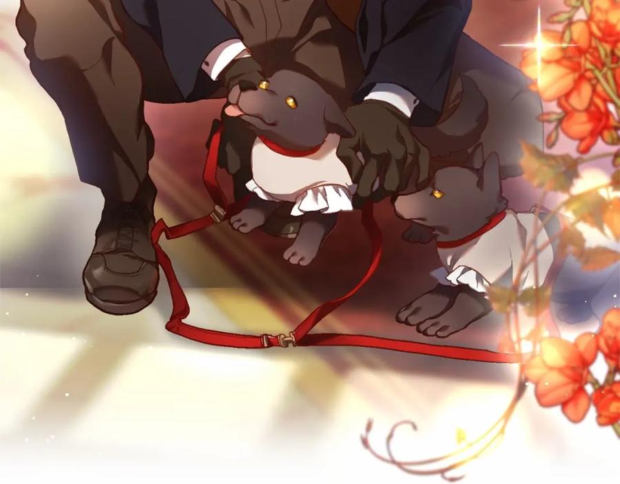 第248页