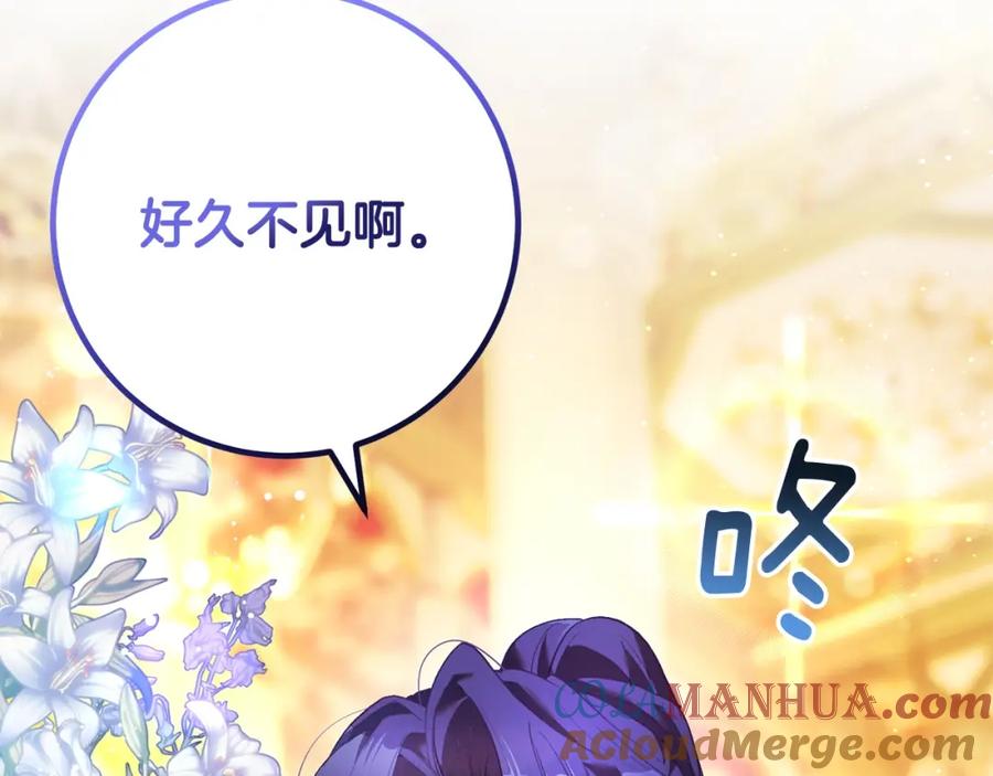 第217页