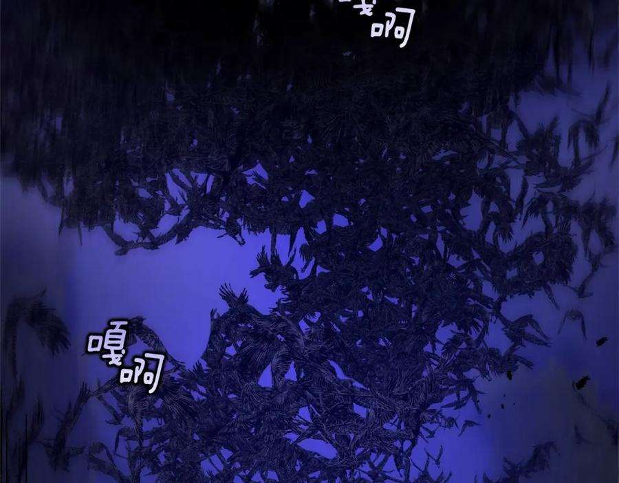 第207页
