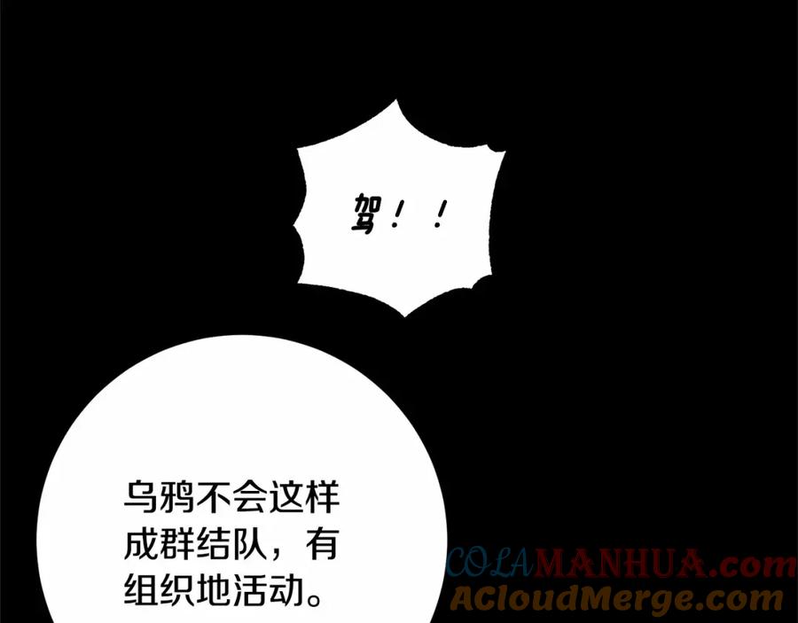 第217页