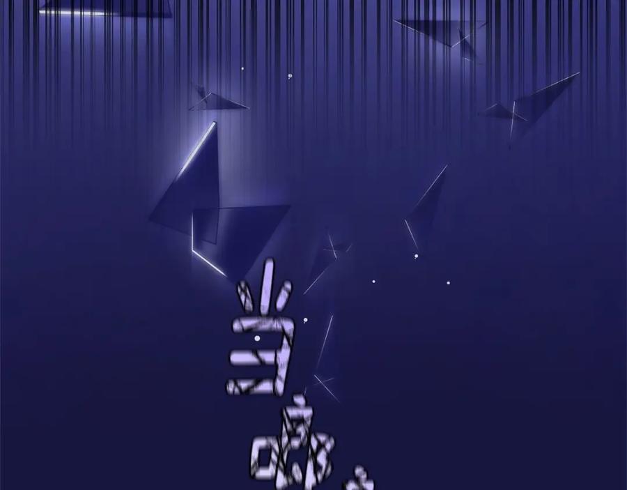 第223页